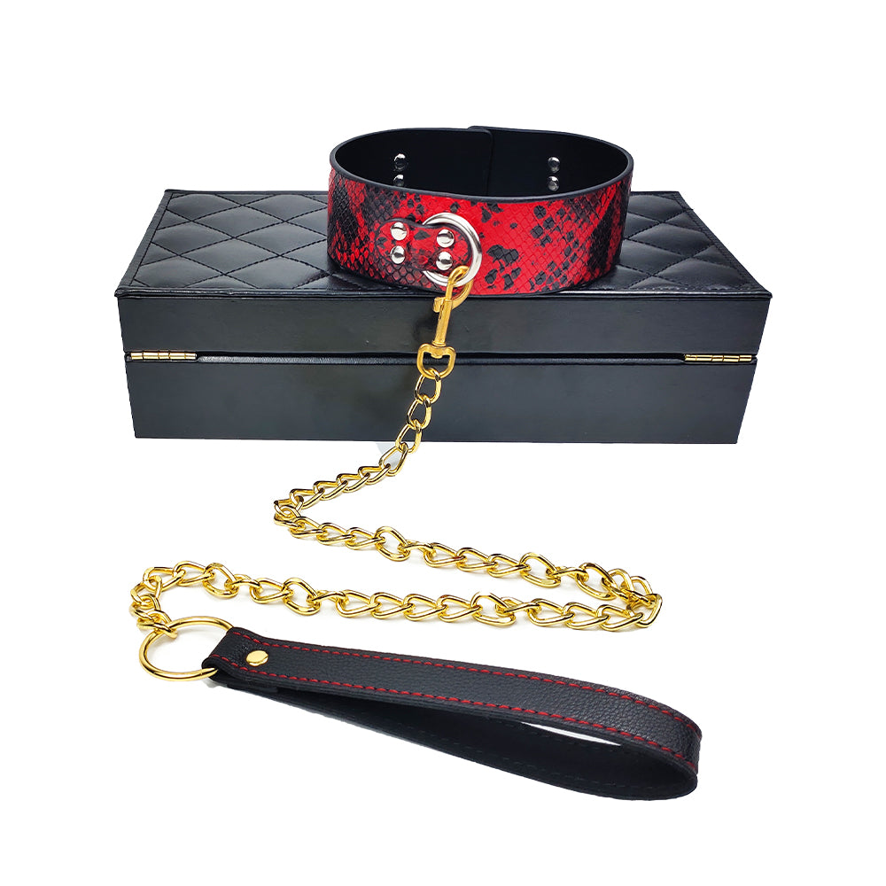 Collar & Leash
