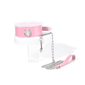 Collar & Leash