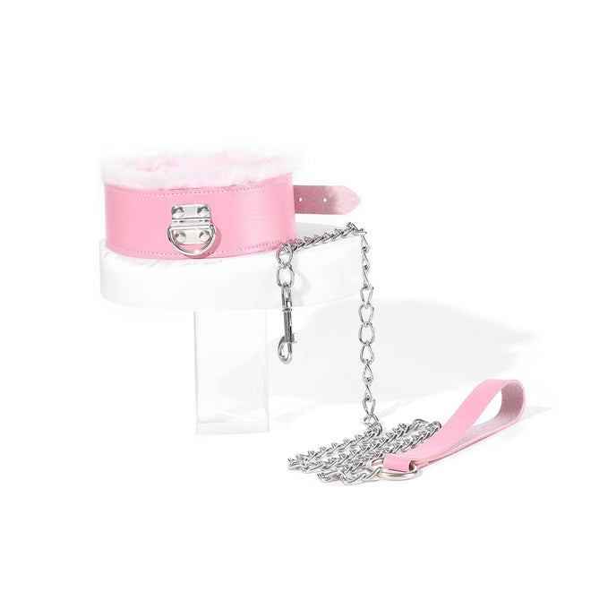 Collar &amp; Leash