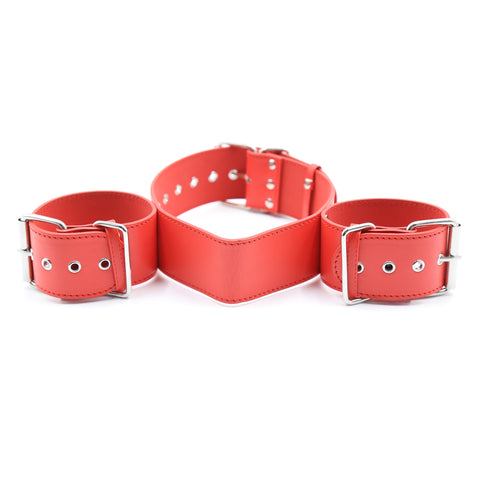 SM Collar With Restraints