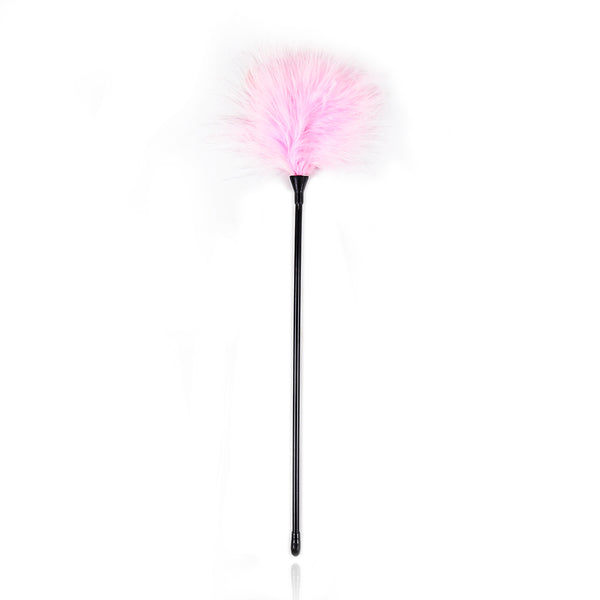 BDSM Flirting Feather Tickler
