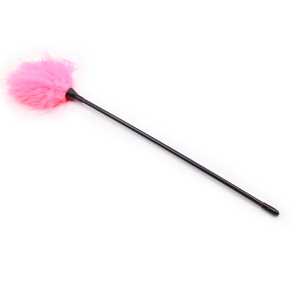 BDSM Flirting Feather Tickler