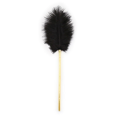 Plume chatouilleuse avec manche en métal