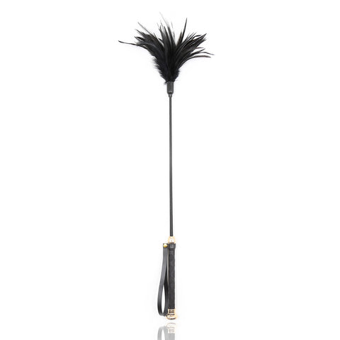 Plume de flirt, chatouilleur, pagaie à fessée