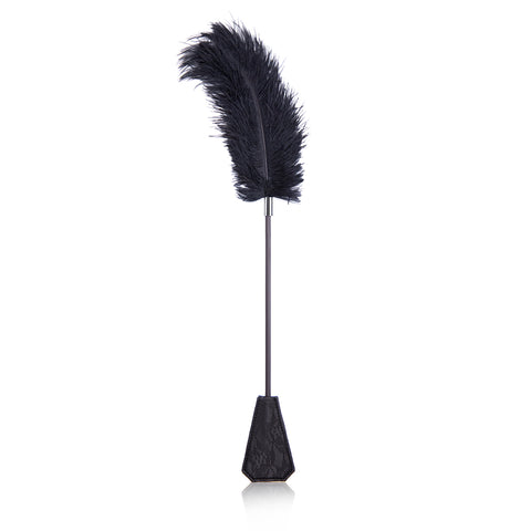 Outils de flirt pour chatouilleurs de plumes pour adultes