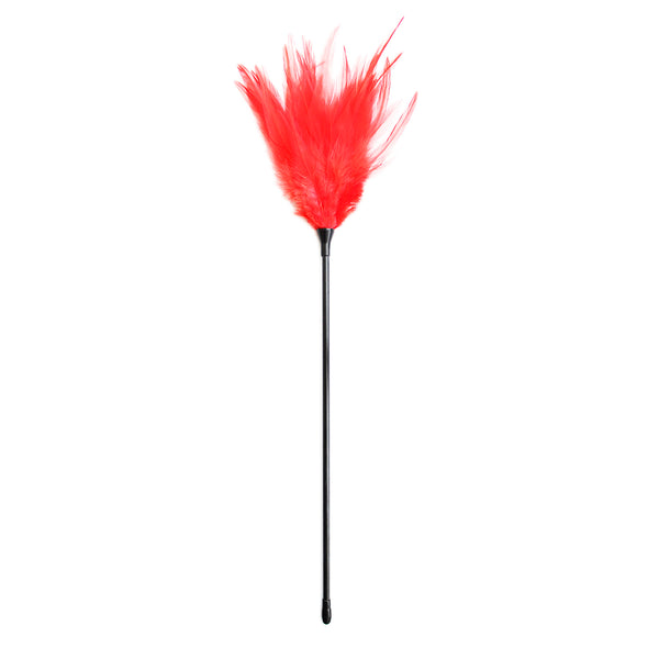 Flirting Feather Tickler Sex Toys