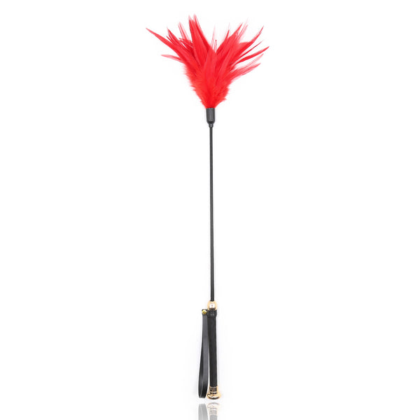 Plume de flirt, chatouilleur, pagaie à fessée