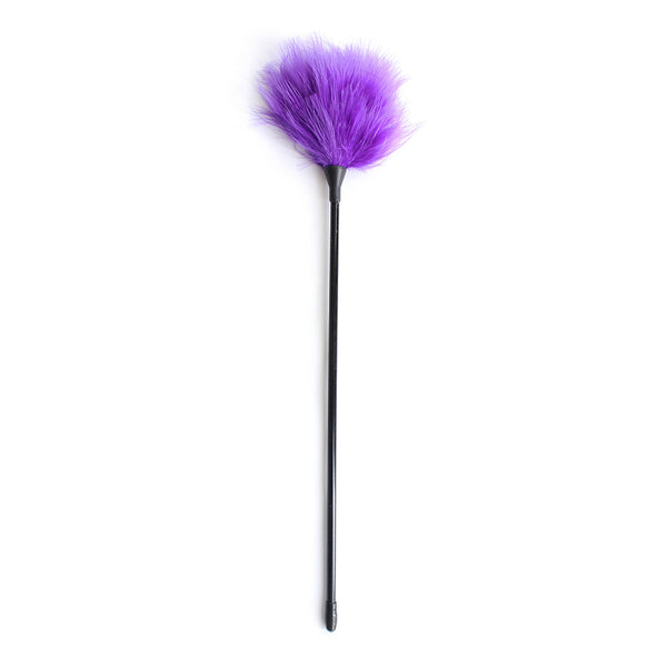 BDSM Flirting Feather Tickler