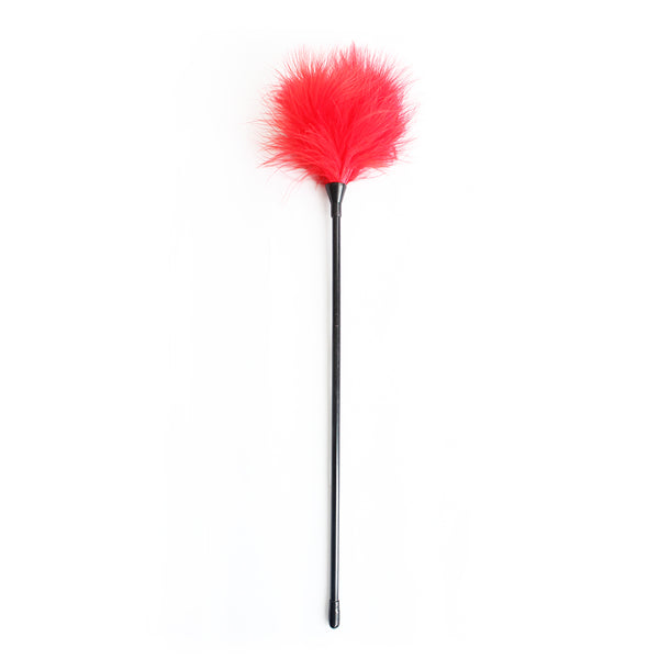 BDSM Flirting Feather Tickler