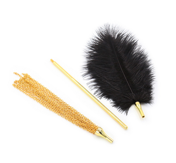 Fouet à plumes et chaînes en métal, pagaie de fessée BDSM