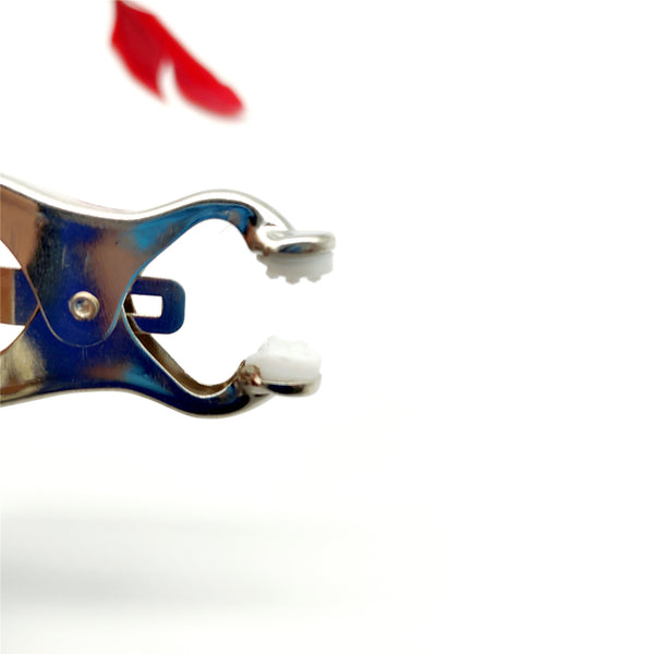 Pinces à tétons, accessoires sexuels, pinces à seins en plumes