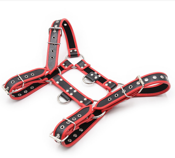 Vêtements de bondage sexuel masculin pour jeux sexuels