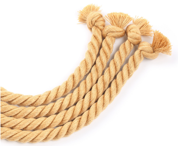 Long fouet pour jeux sexuels, esclave BDSM, fessée, flagellation