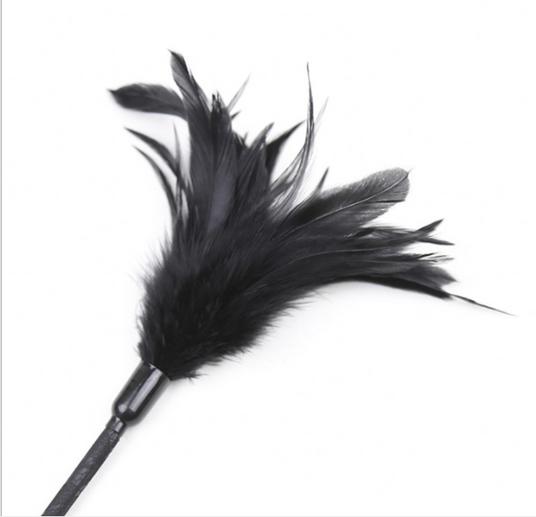 Pagaie de fessée BDSM à deux têtes avec plumes et chatouillement 