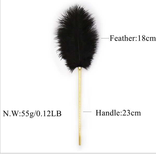 Fouet à plumes et chaînes en métal, pagaie de fessée BDSM