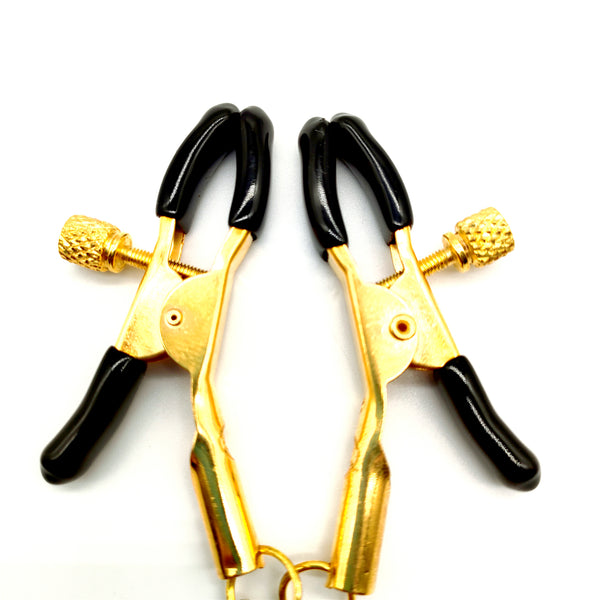 Pinces à tétons avec jouet sexuel en plumes