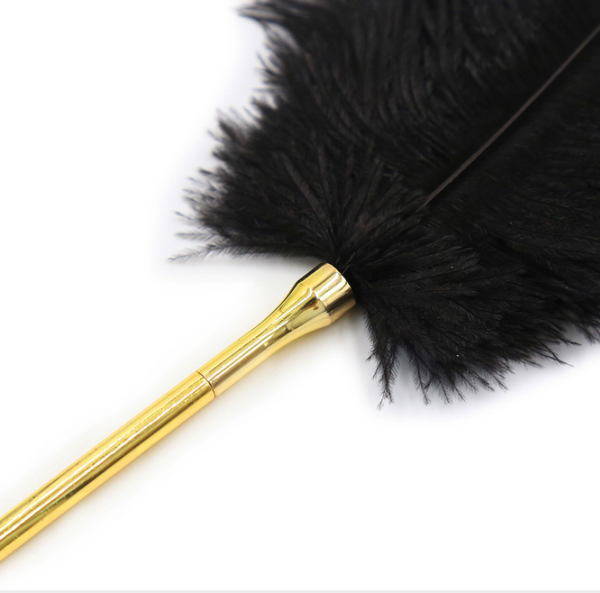 Fouet à plumes et chaînes en métal, pagaie de fessée BDSM