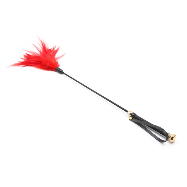 Plume de flirt, chatouilleur, pagaie à fessée