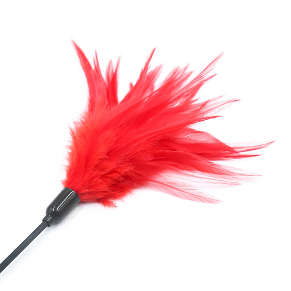 Plume de flirt, chatouilleur, pagaie à fessée