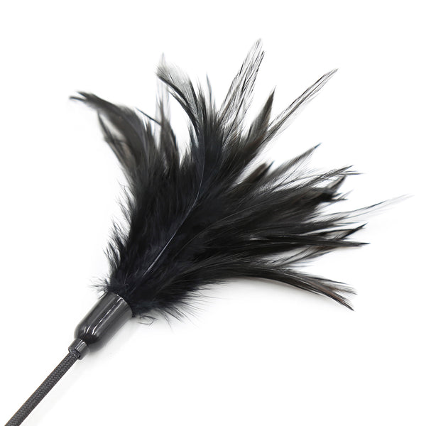 Plume de flirt, chatouilleur, pagaie à fessée