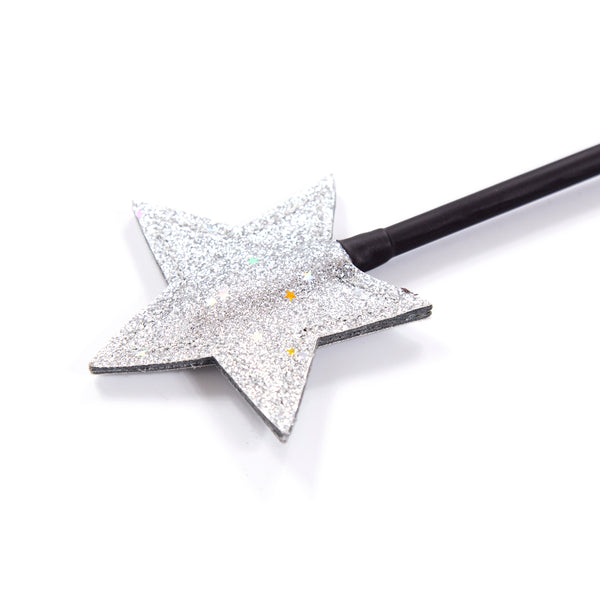 Metal  Pu  Mini Paddle  SM  Adult Play