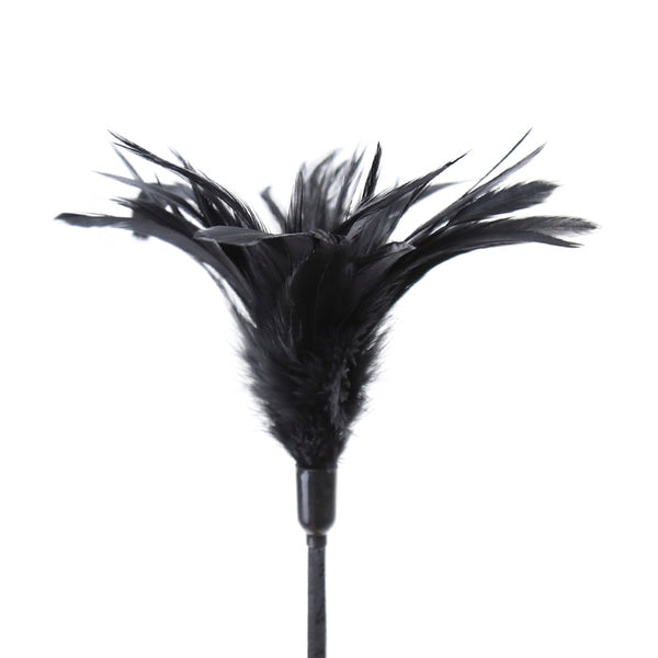 Flirting Feather Paddle Sex Accessories