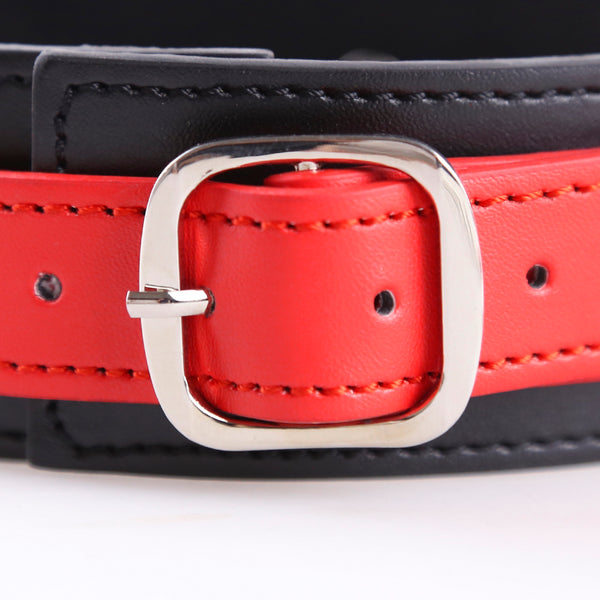 Collier SM PU avec laisse en chaîne