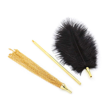 Kit de chatouillement de plumes BDSM